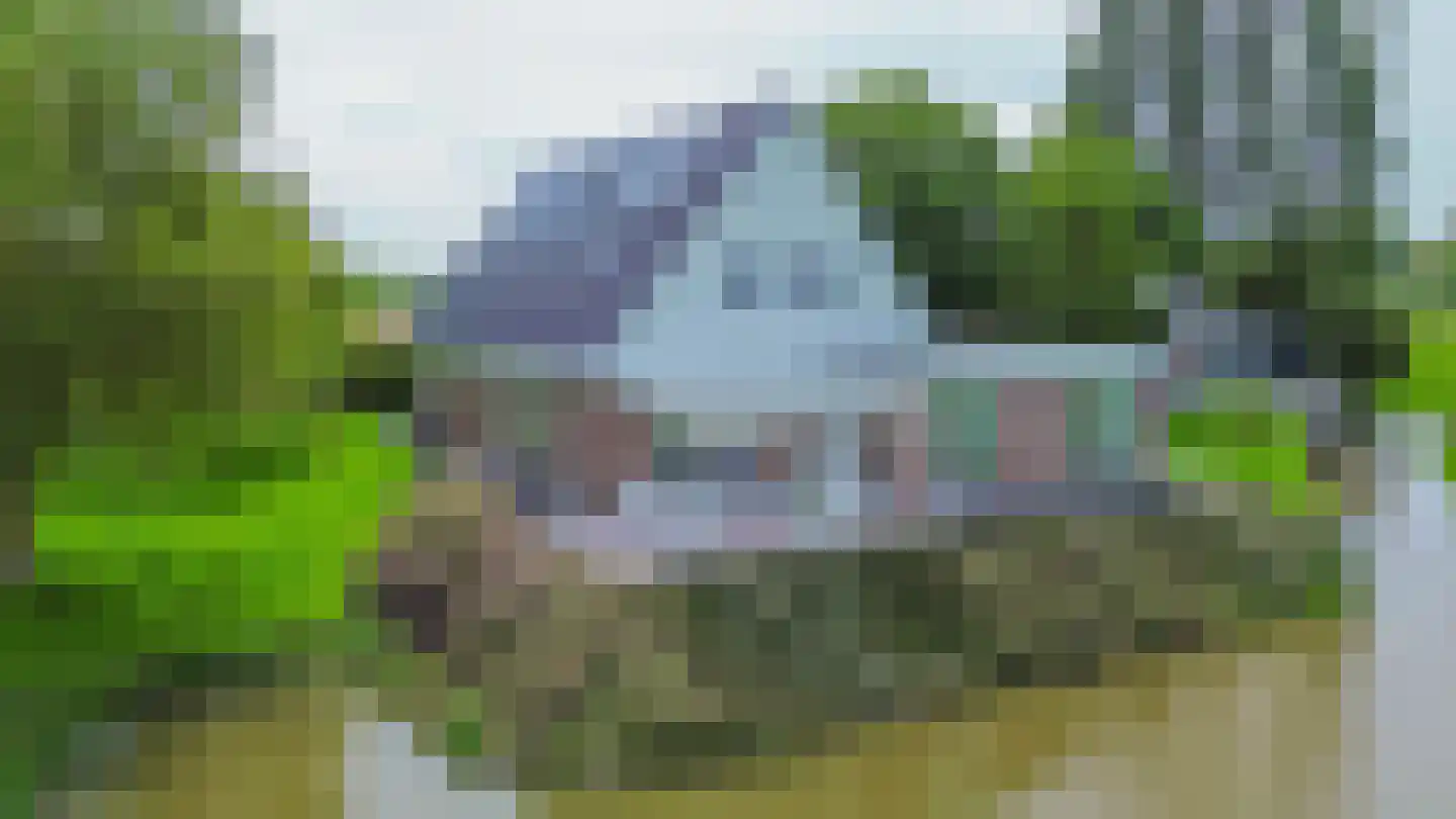 Konijnendijk 3 Geervliet thumbnail 8