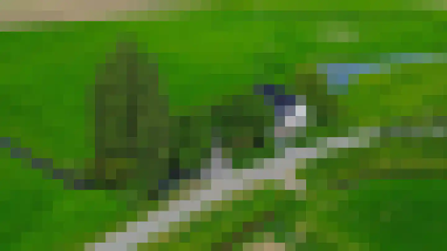 Konijnendijk 3 Geervliet thumbnail 81