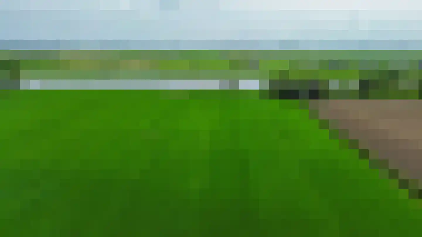 Konijnendijk 3 Geervliet thumbnail 82