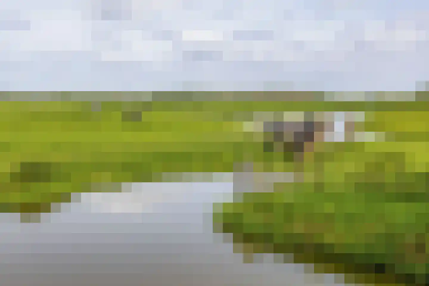 Konijnendijk 3 Geervliet thumbnail 83