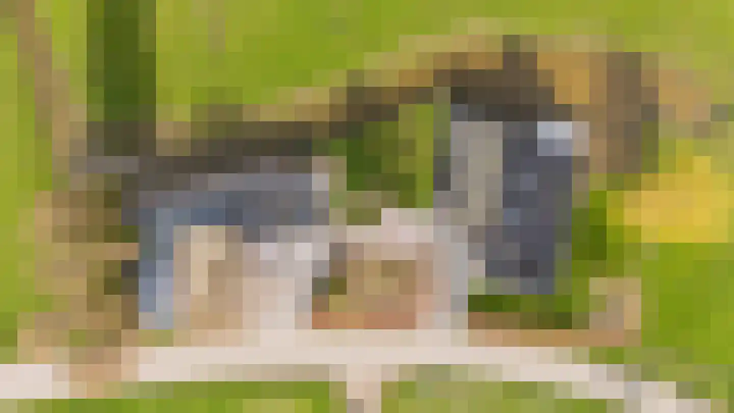 Konijnendijk 3 Geervliet thumbnail 84
