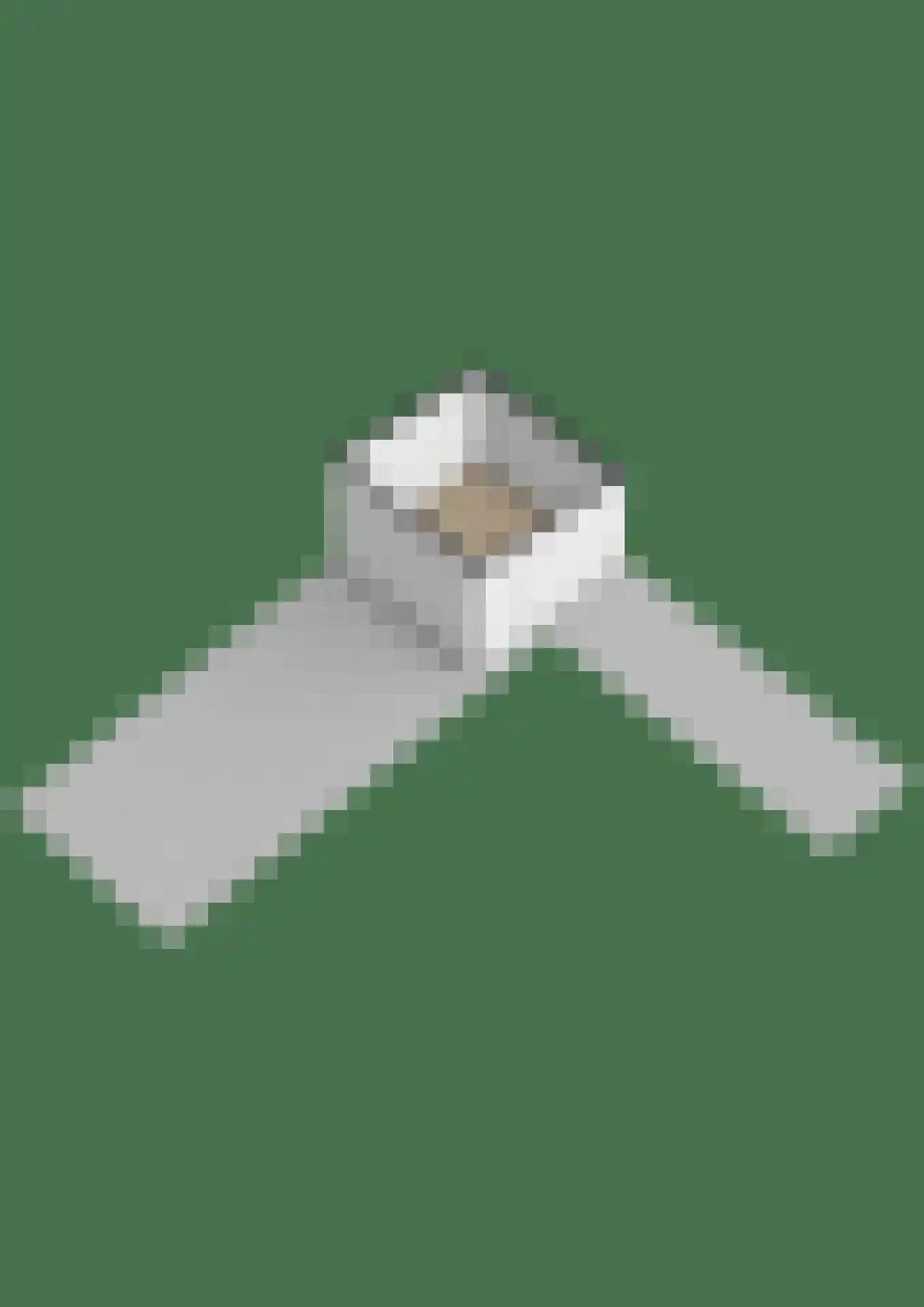 Konijnendijk 3 Geervliet thumbnail 86