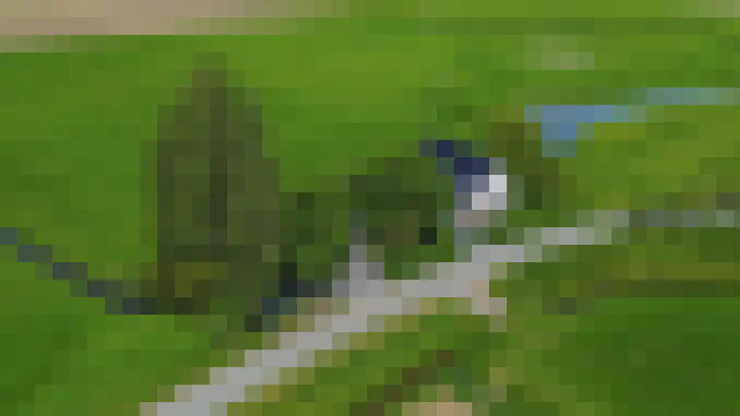 Konijnendijk 3 Geervliet thumbnail 88