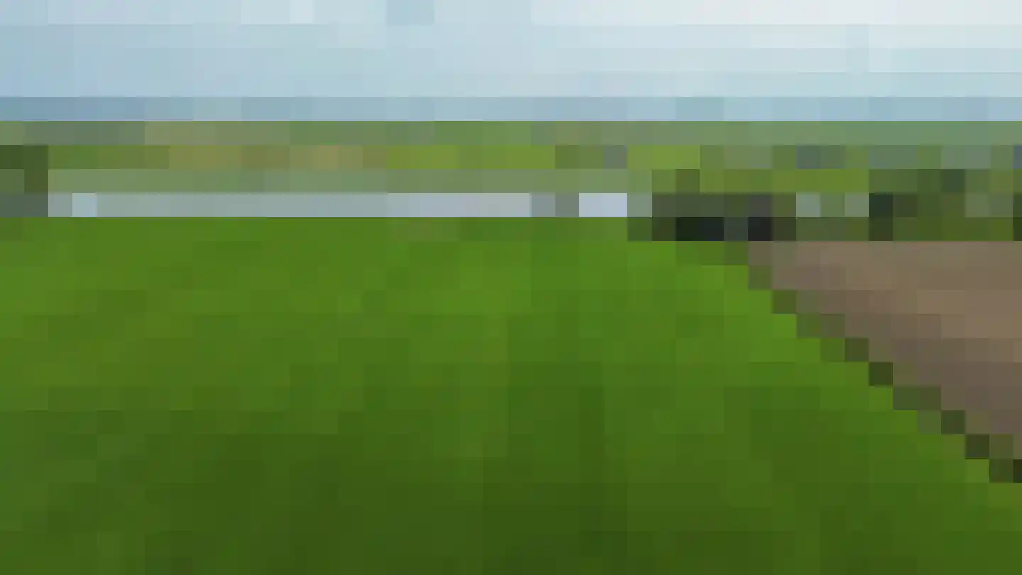 Konijnendijk 3 Geervliet thumbnail 89