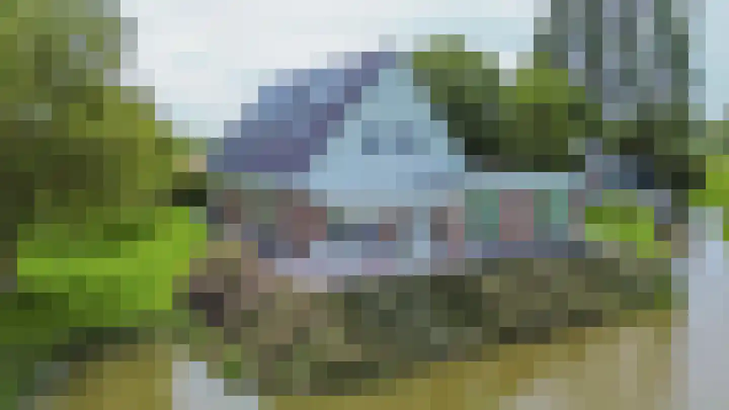 Konijnendijk 3 Geervliet thumbnail 9