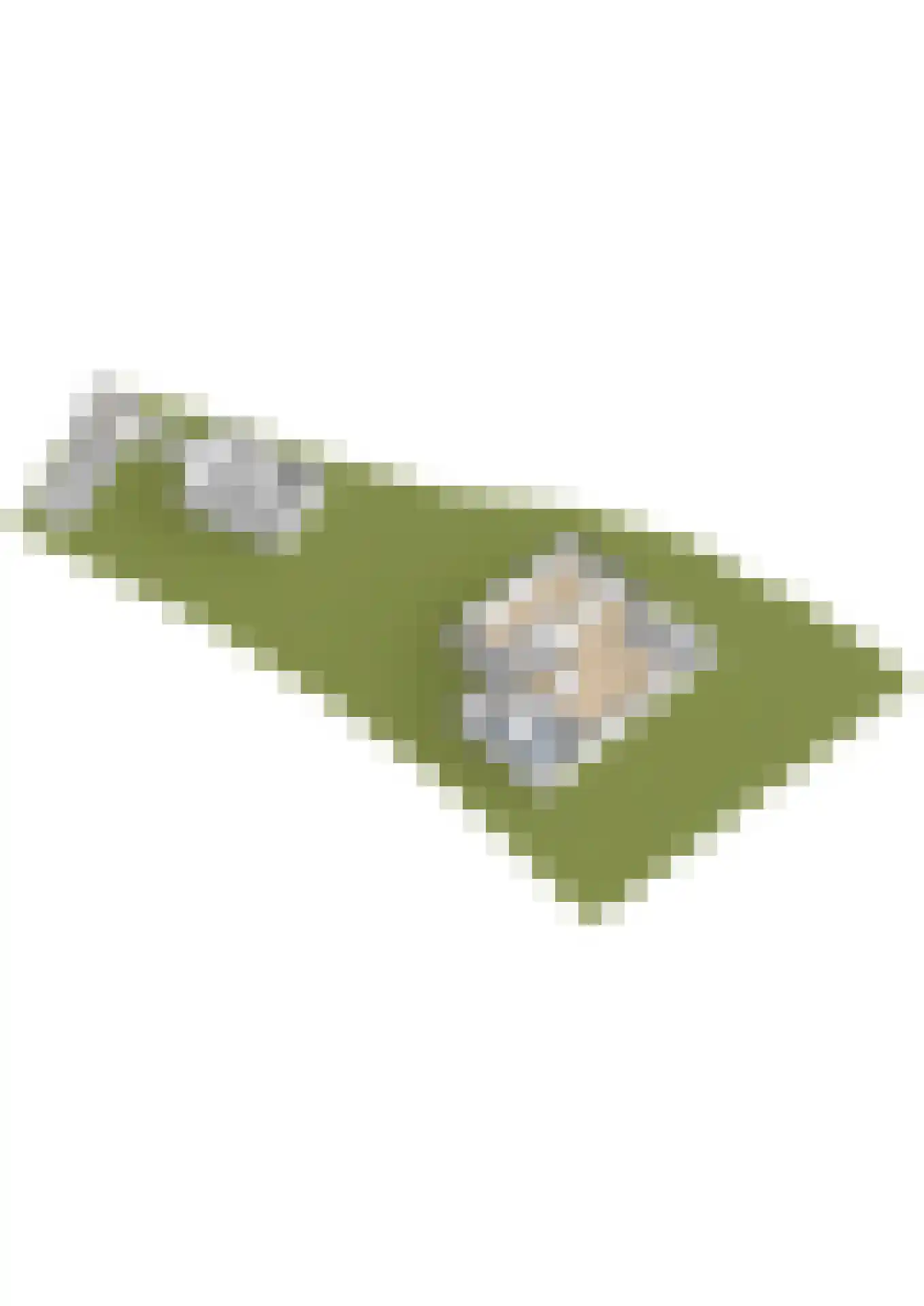 Konijnendijk 3 Geervliet thumbnail 94