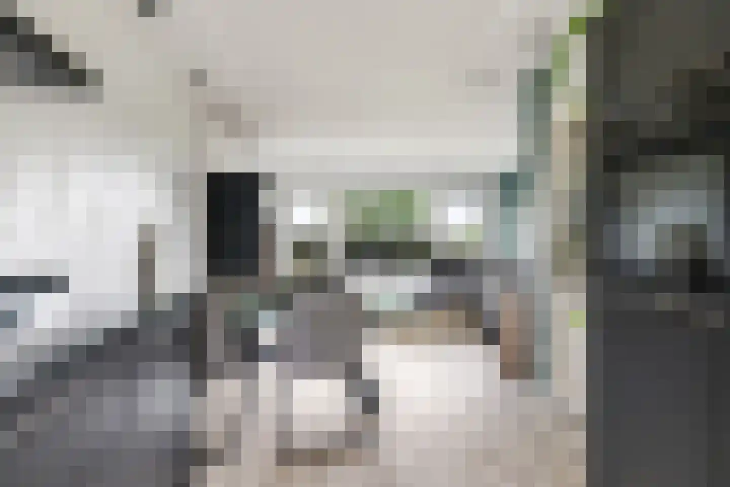 Konijnenhof 8 Silvolde thumbnail 22