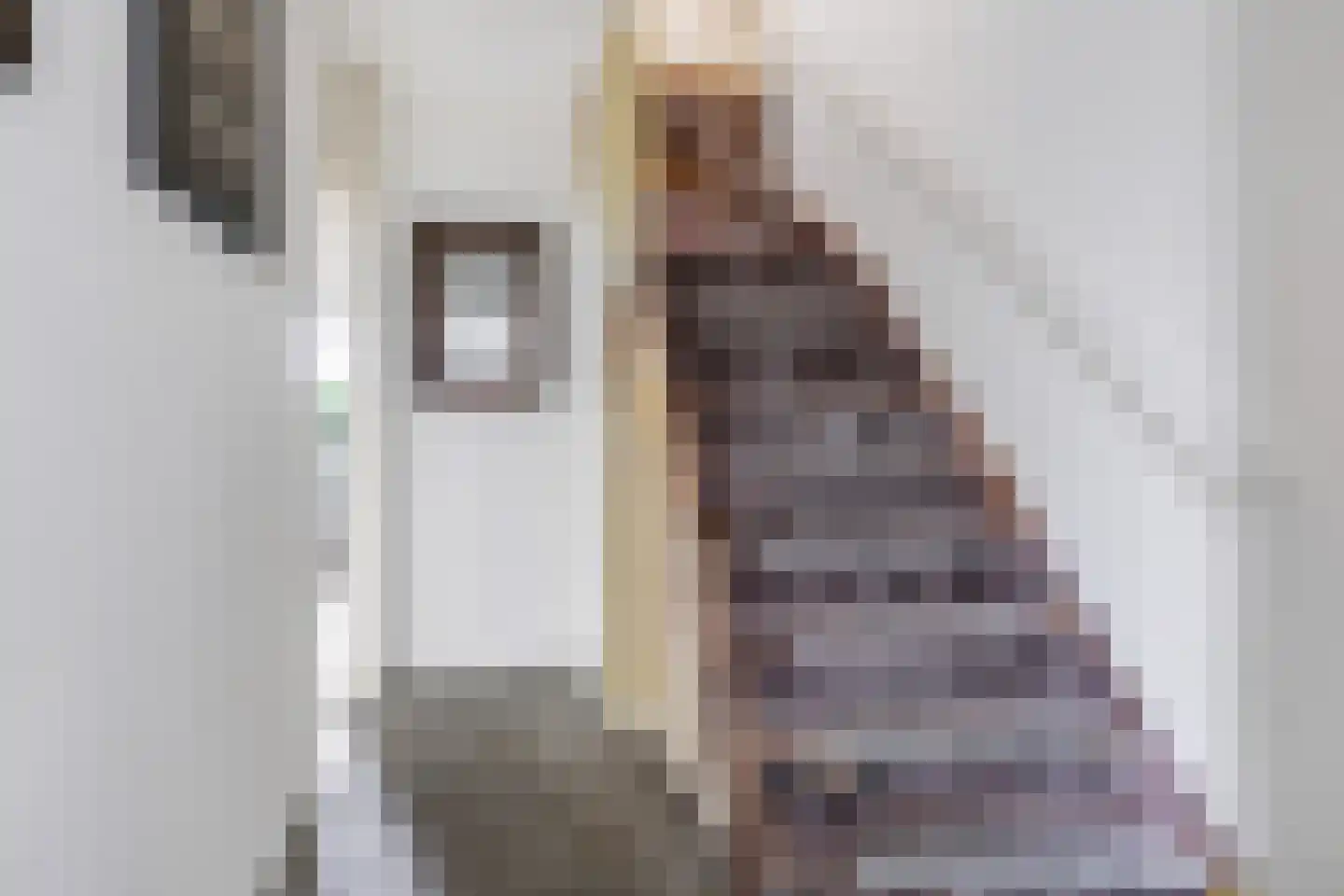 Konijnenhof 8 Silvolde thumbnail 25