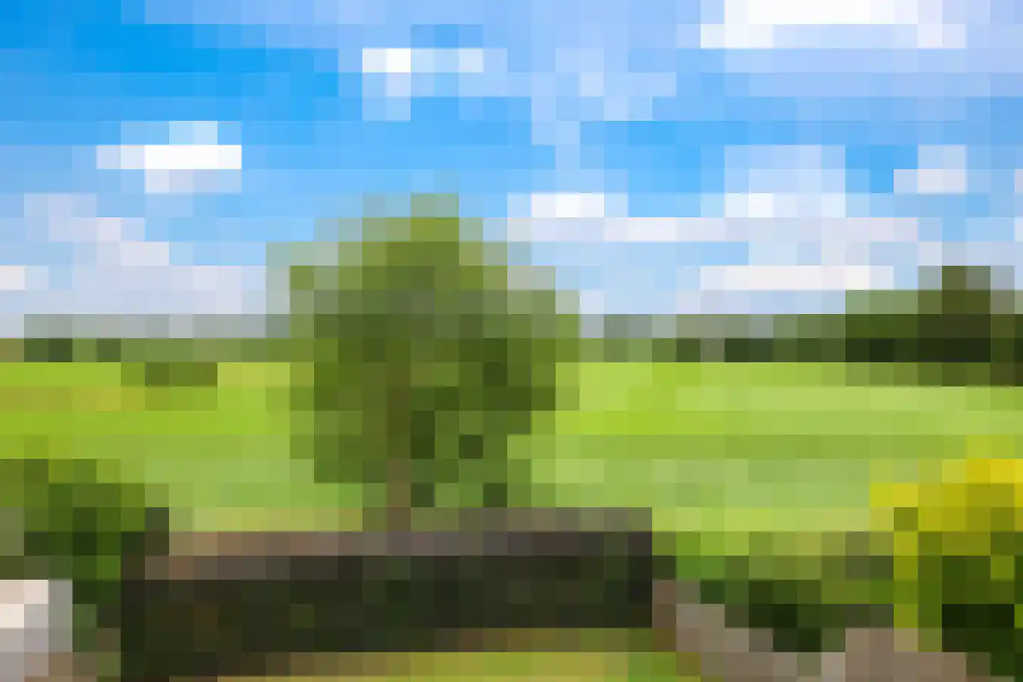 Konijnenhof 8 Silvolde thumbnail 29
