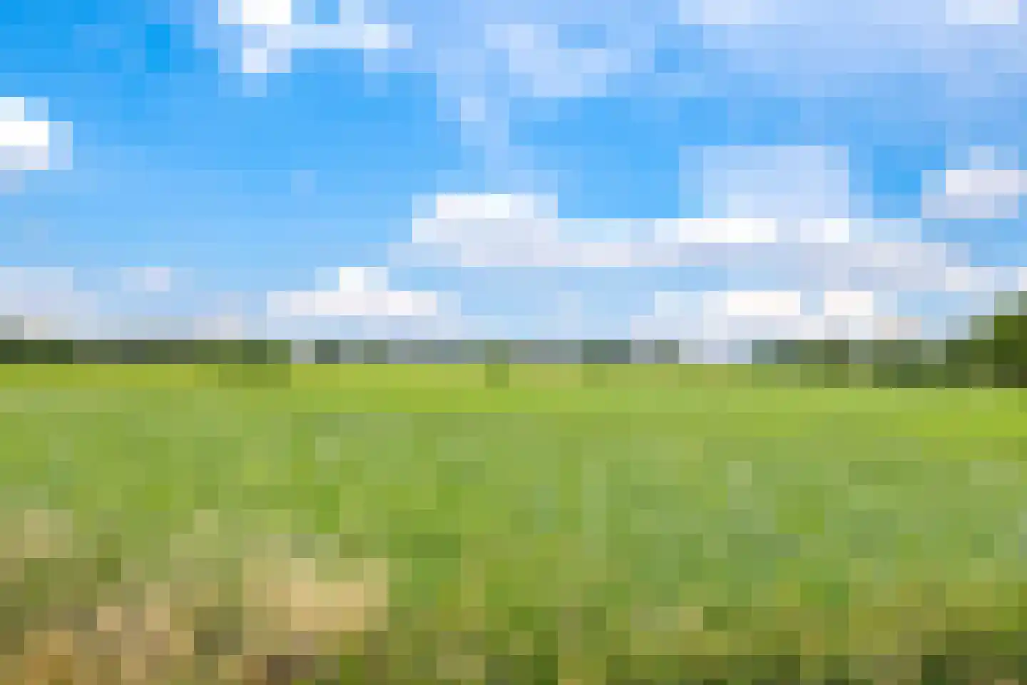 Konijnenhof 8 Silvolde thumbnail 48