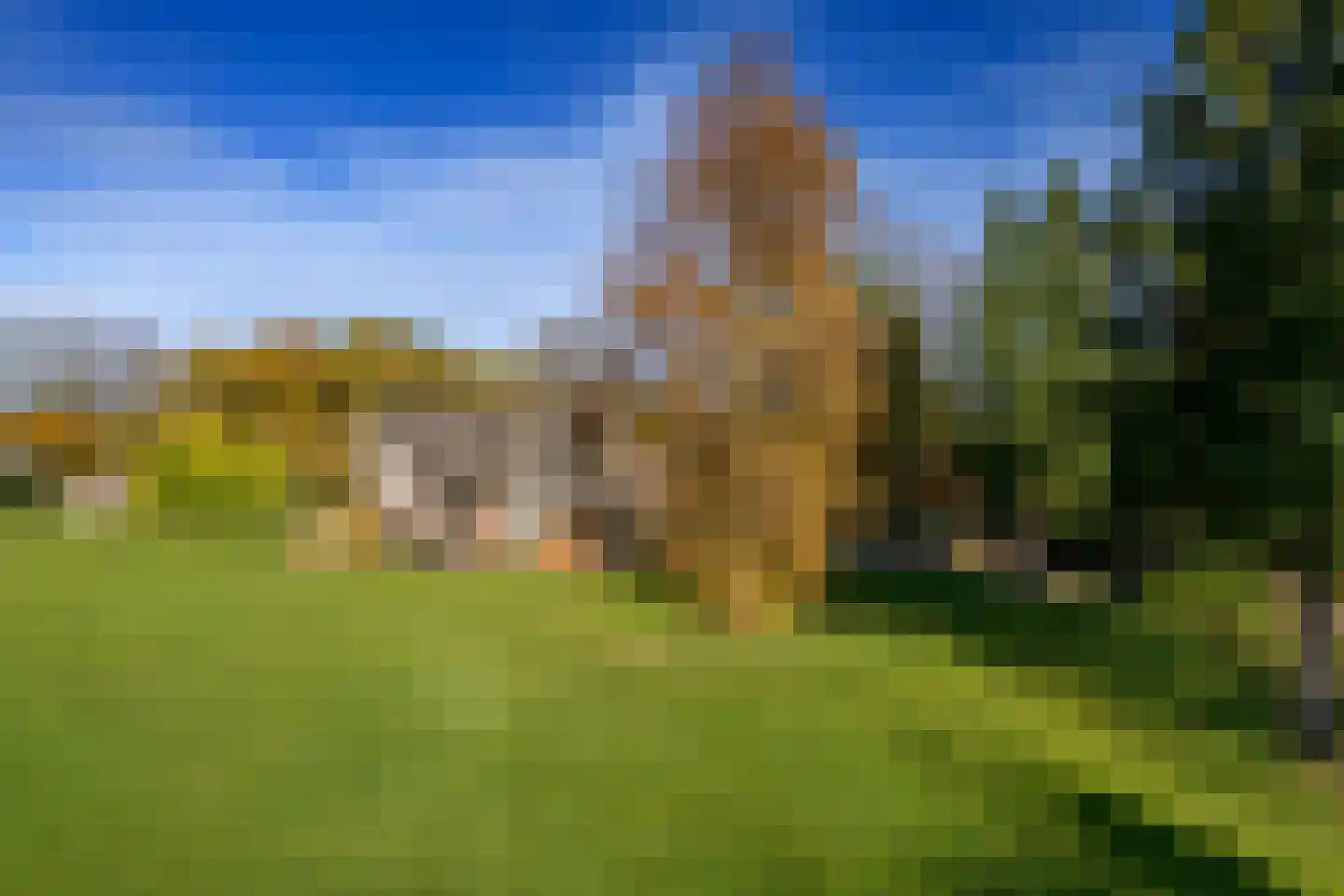 Konijnenkamp 41 Beekbergen thumbnail 50