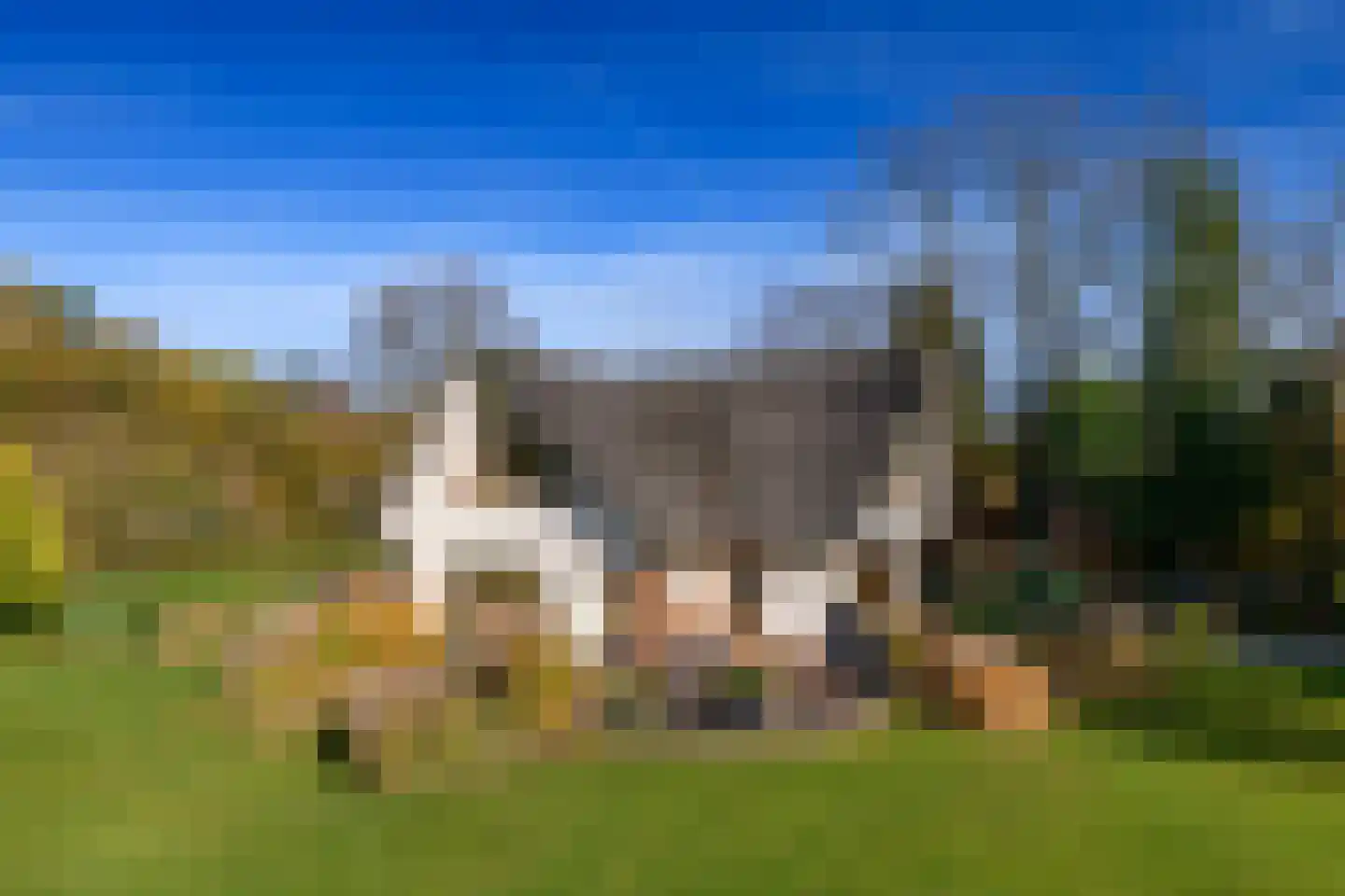 Konijnenkamp 41 Beekbergen thumbnail 54