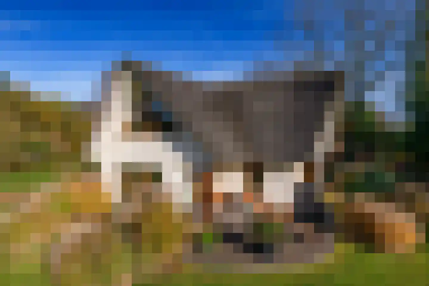Konijnenkamp 41 Beekbergen thumbnail 55