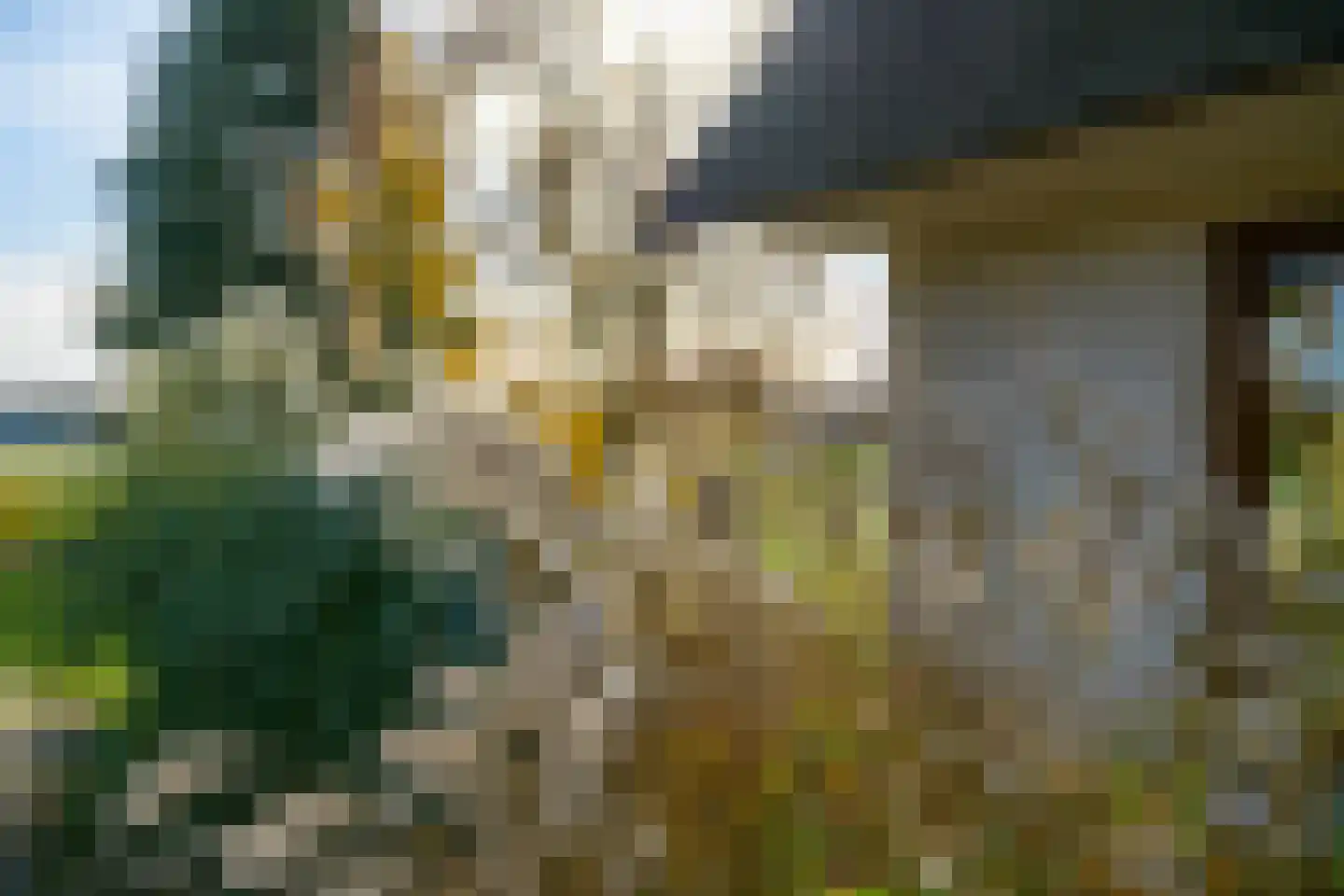 Konijnenkamp 41 Beekbergen thumbnail 65
