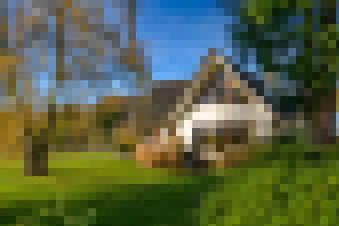 Konijnenkamp 41 Beekbergen thumbnail 70