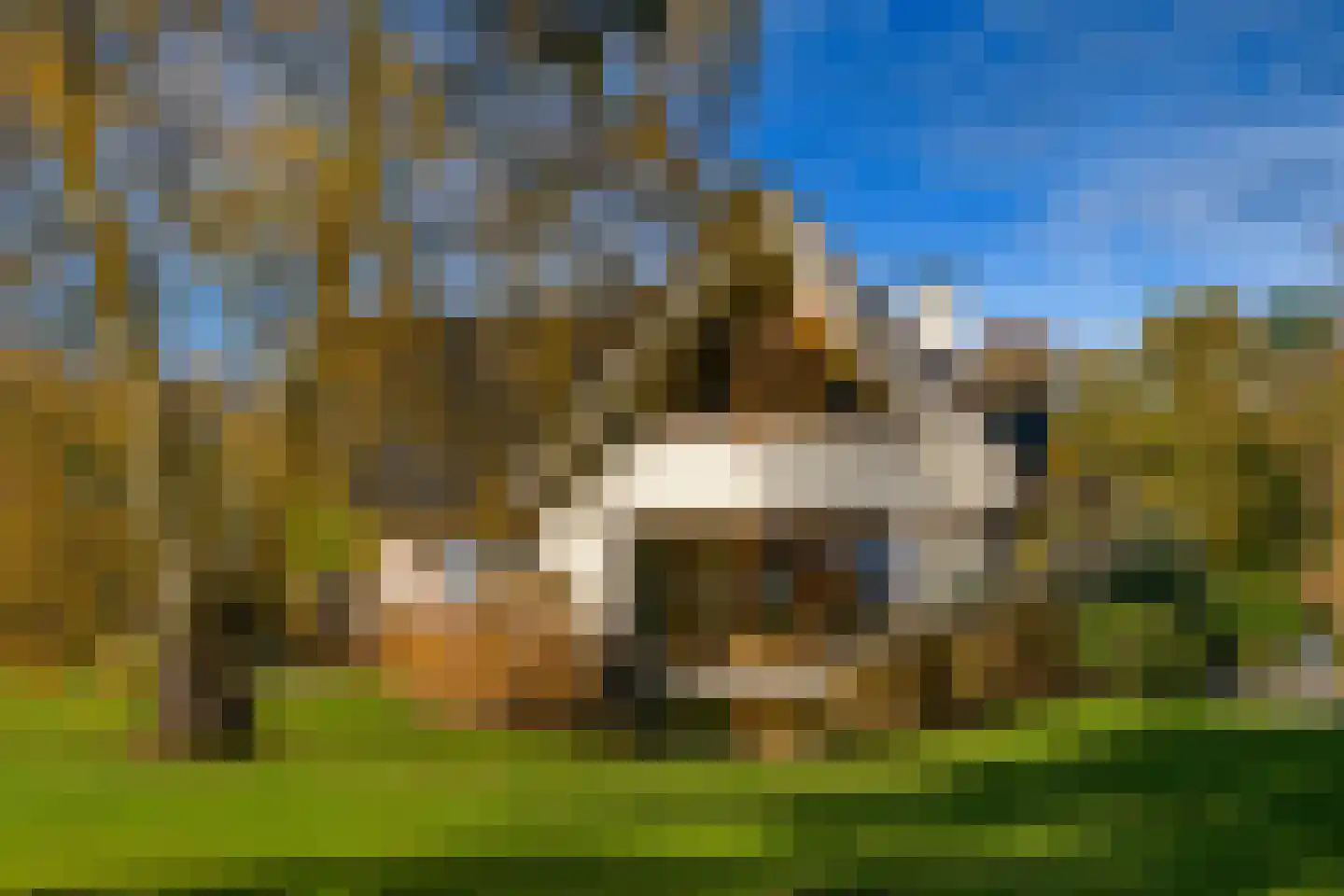 Konijnenkamp 41 Beekbergen thumbnail 71