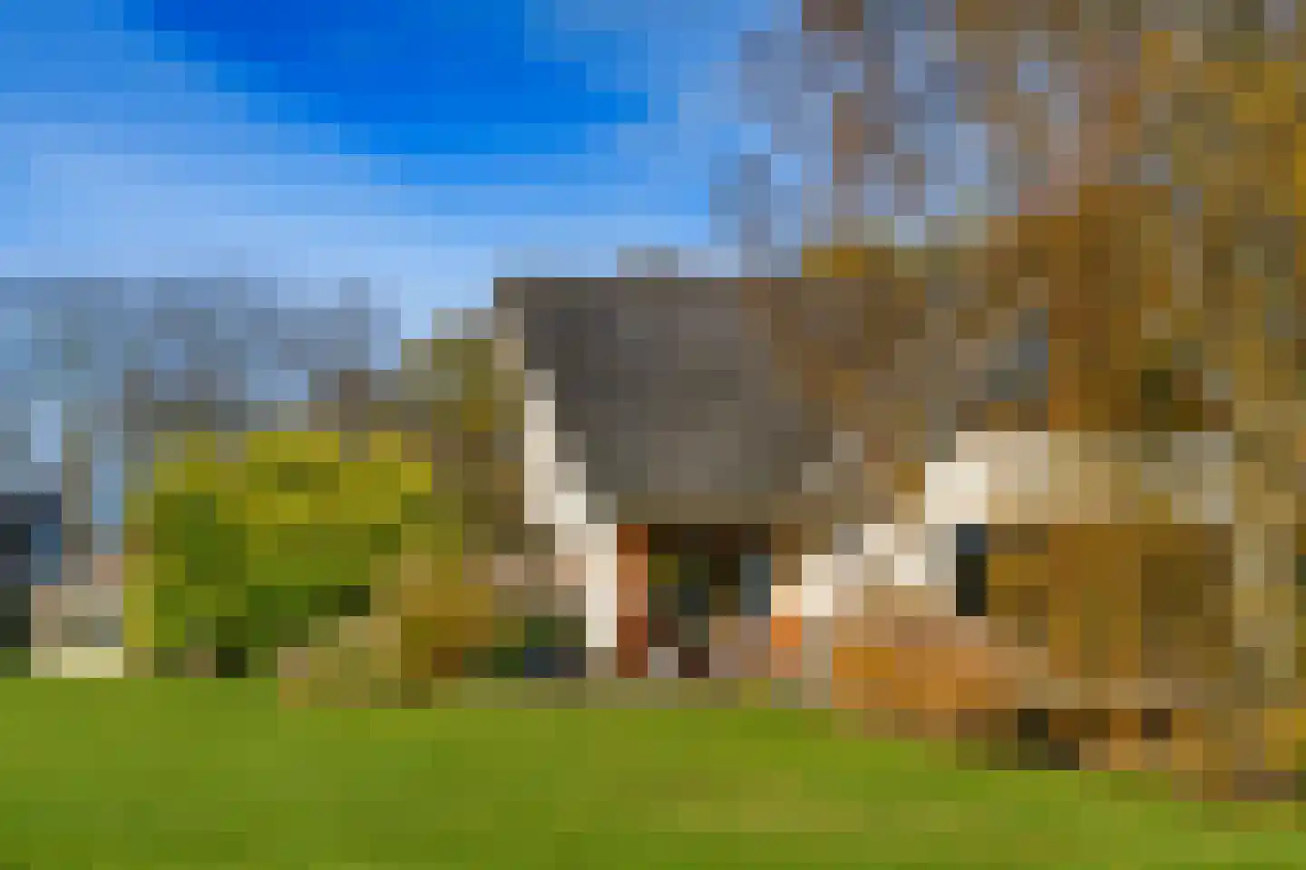 Konijnenkamp 41 Beekbergen thumbnail 73