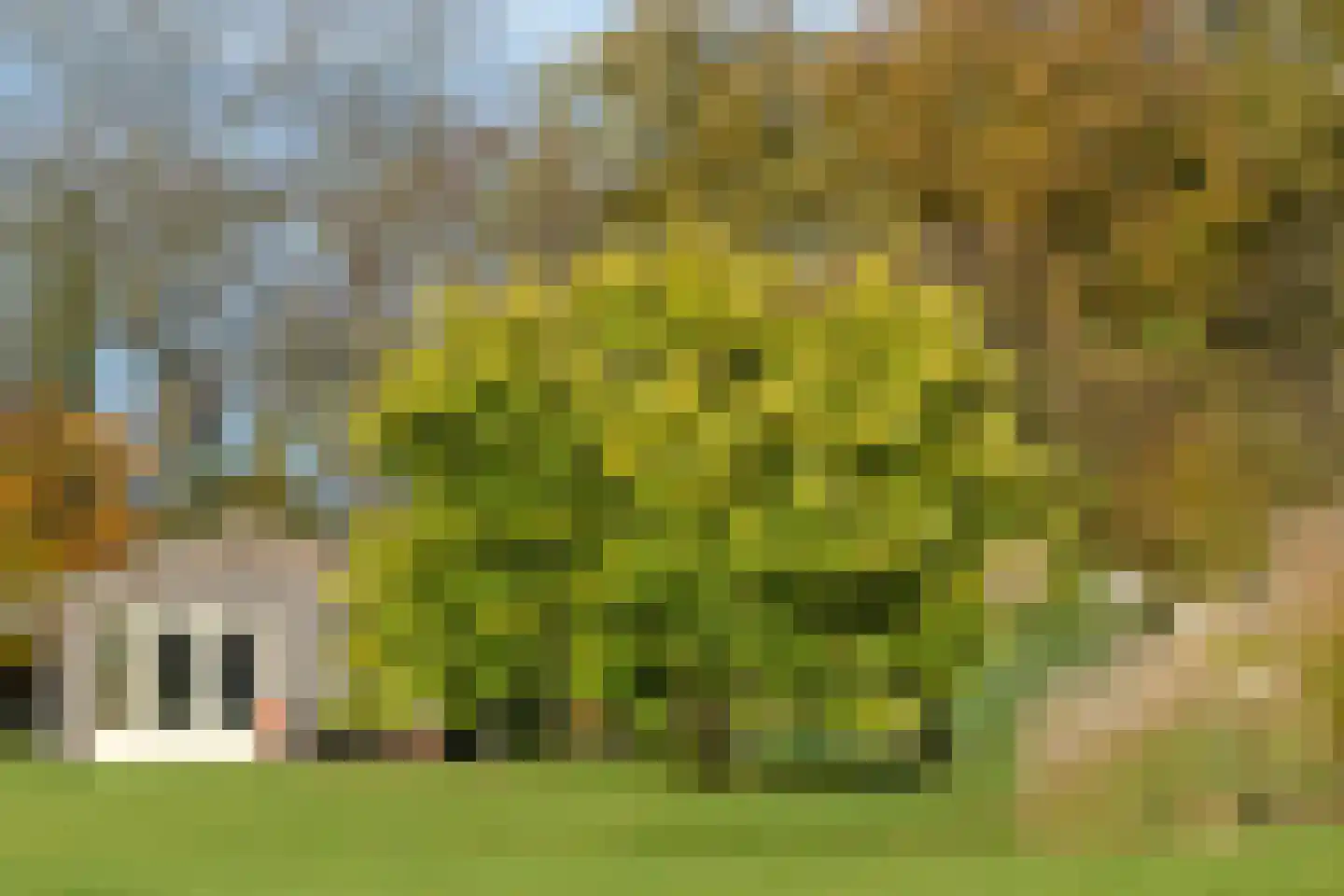 Konijnenkamp 41 Beekbergen thumbnail 75