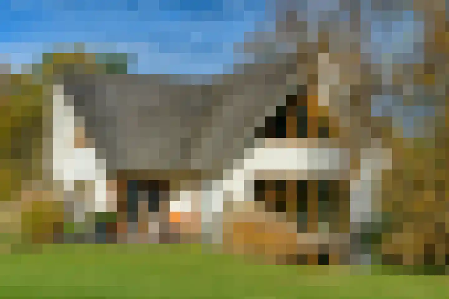 Konijnenkamp 41 Beekbergen thumbnail 78