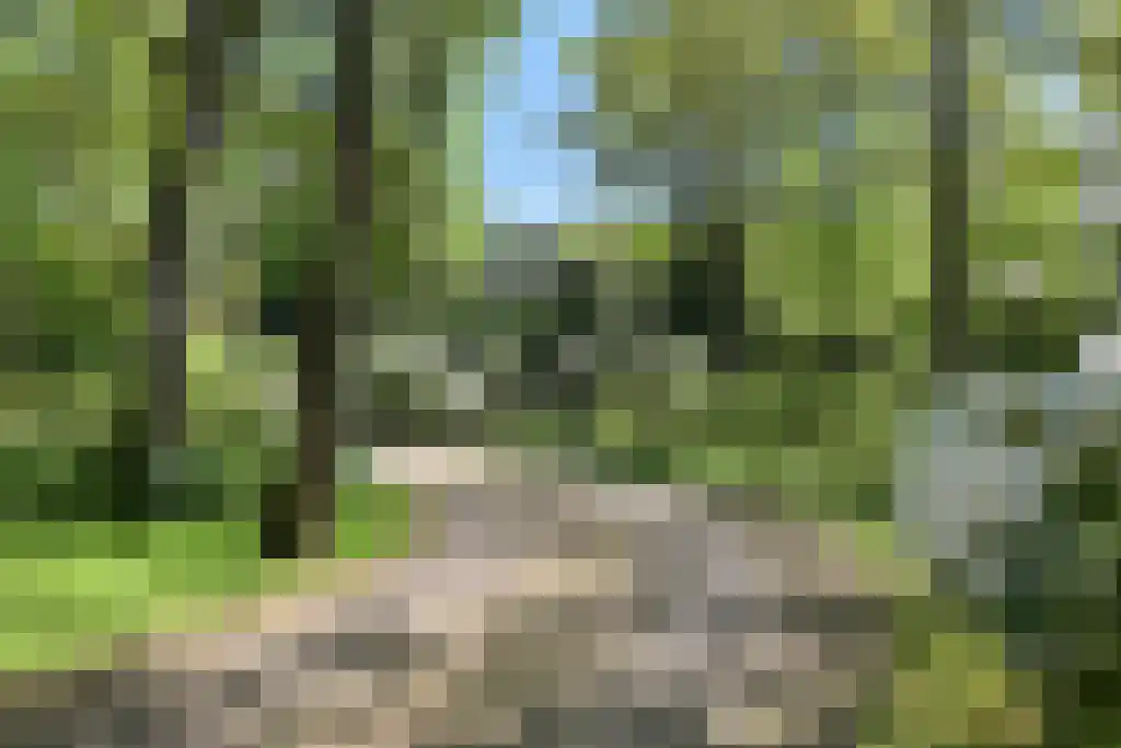 Konijnenlaan 17 Wassenaar thumbnail 11