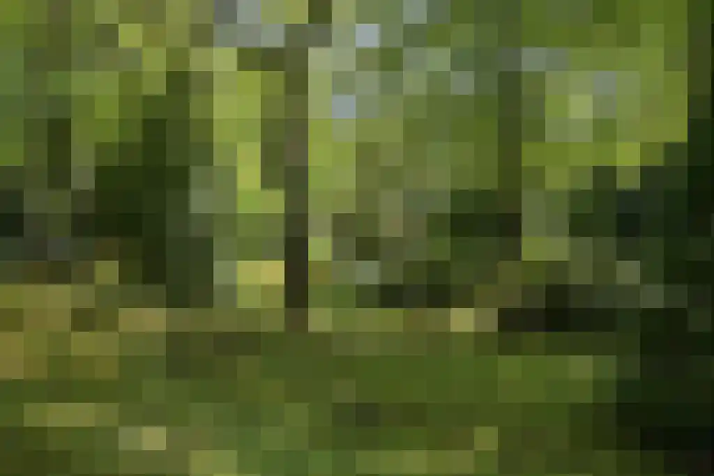 Konijnenlaan 17 Wassenaar thumbnail 12