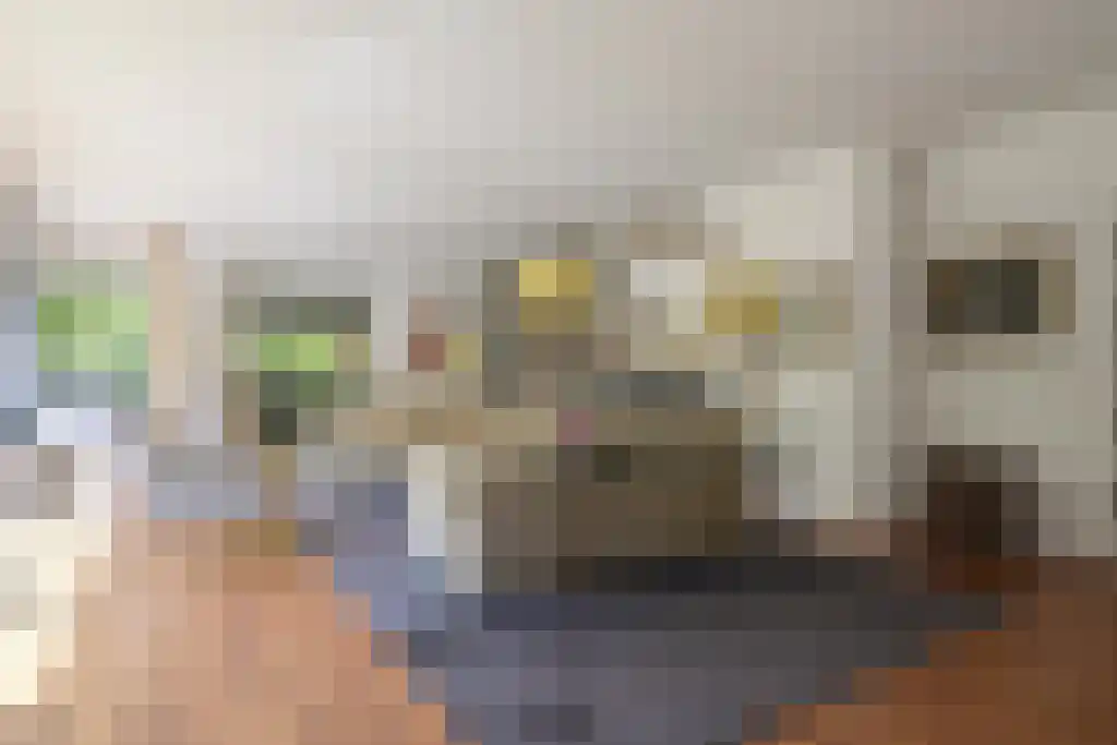 Konijnenlaan 17 Wassenaar thumbnail 13
