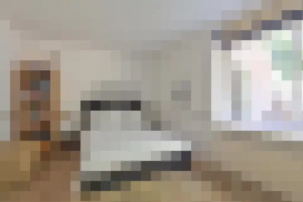 Konijnenlaan 17 Wassenaar thumbnail 22