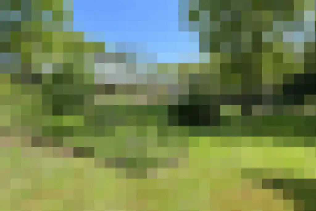 Konijnenlaan 17 Wassenaar thumbnail 7
