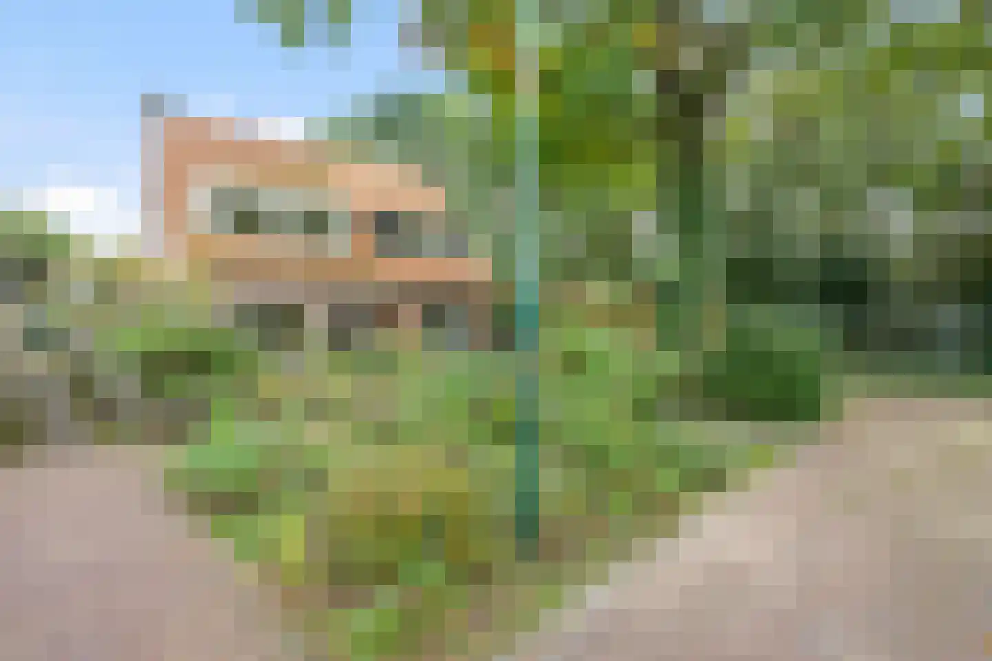 Konijnenlaan 2 A Bilthoven foto 3