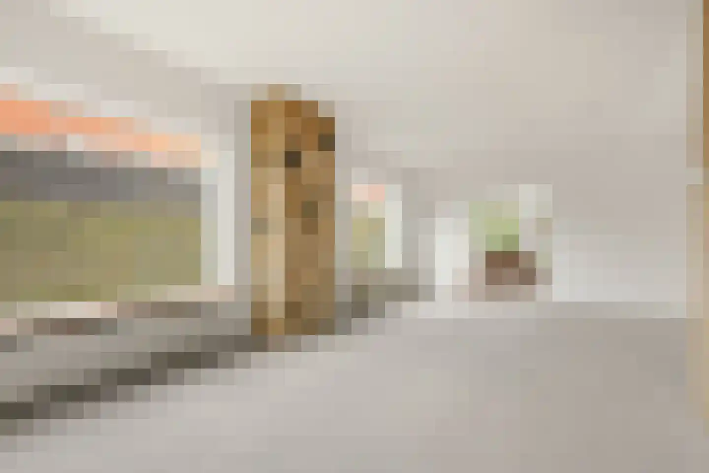 Konijnenlaan 2 A Bilthoven thumbnail 7