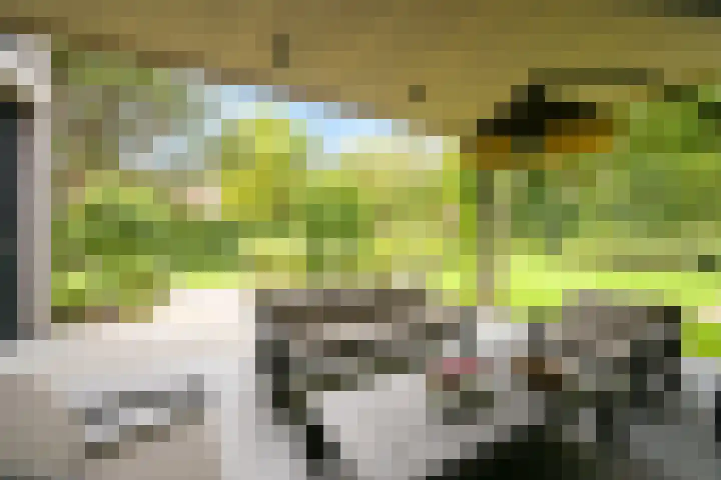 Konijnenlaan 22 Wassenaar thumbnail 21