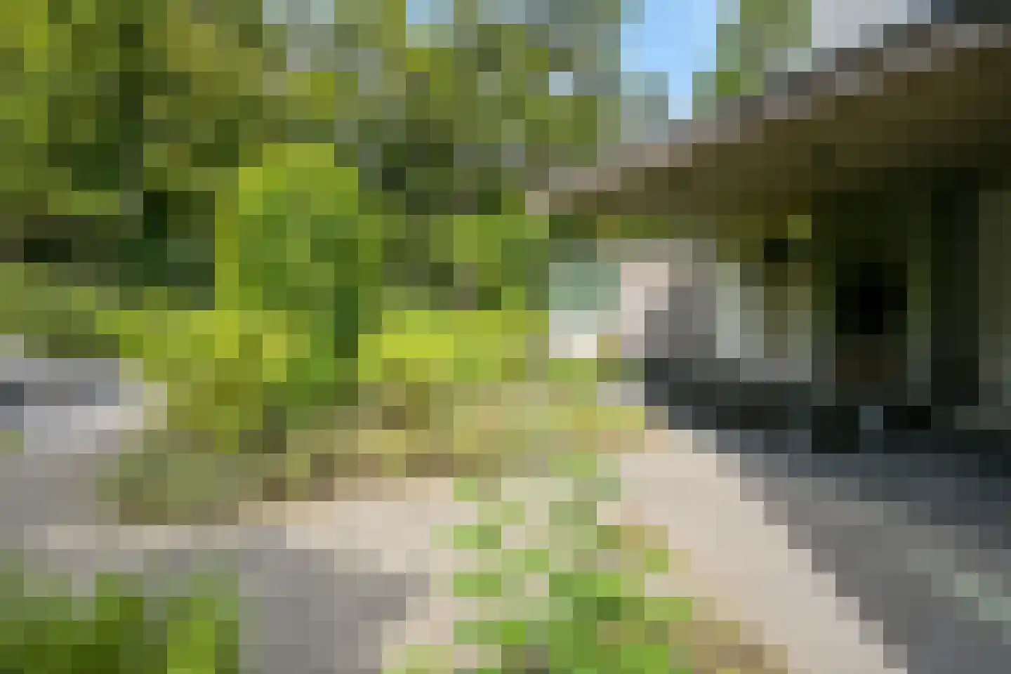 Konijnenlaan 22 Wassenaar thumbnail 22