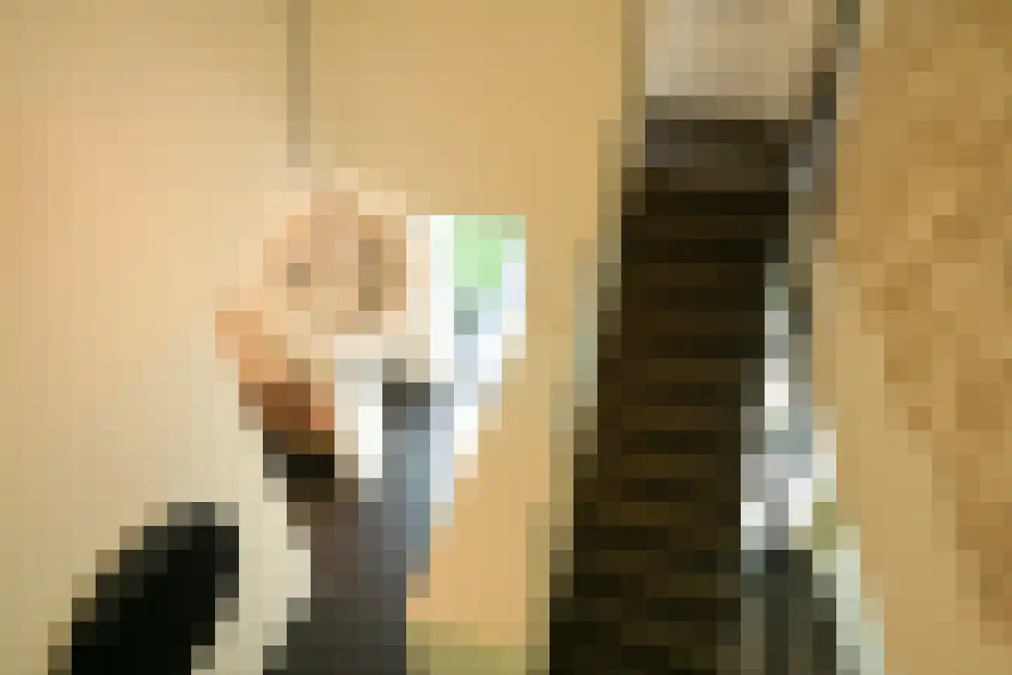 Konijnenlaan 22 Wassenaar thumbnail 29