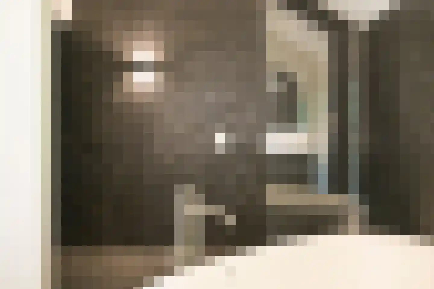Konijnenlaan 22 Wassenaar thumbnail 34