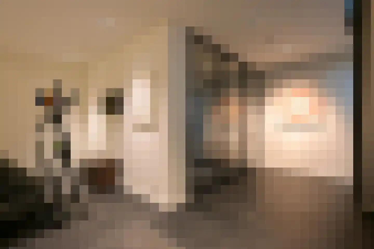 Konijnenlaan 22 Wassenaar thumbnail 36