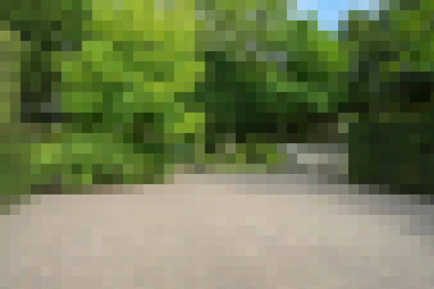 Konijnenlaan 22 Wassenaar thumbnail 39