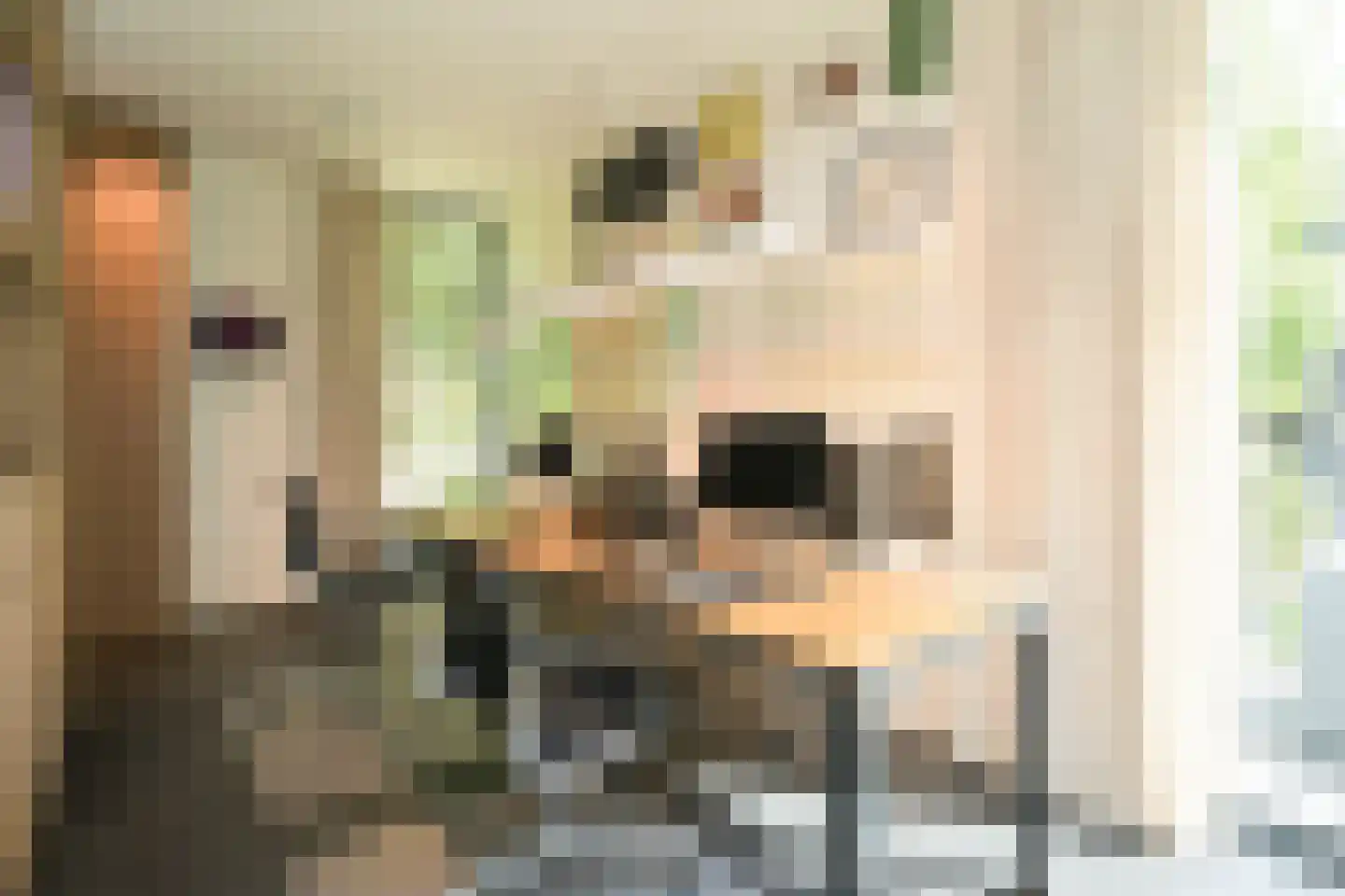 Konijnenlaan 22 Wassenaar thumbnail 4