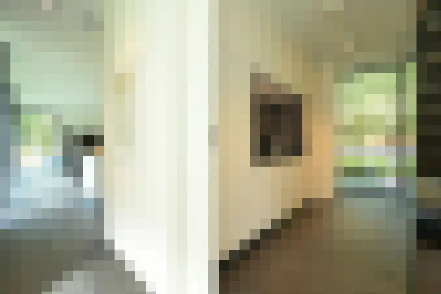 Konijnenlaan 22 Wassenaar thumbnail 7