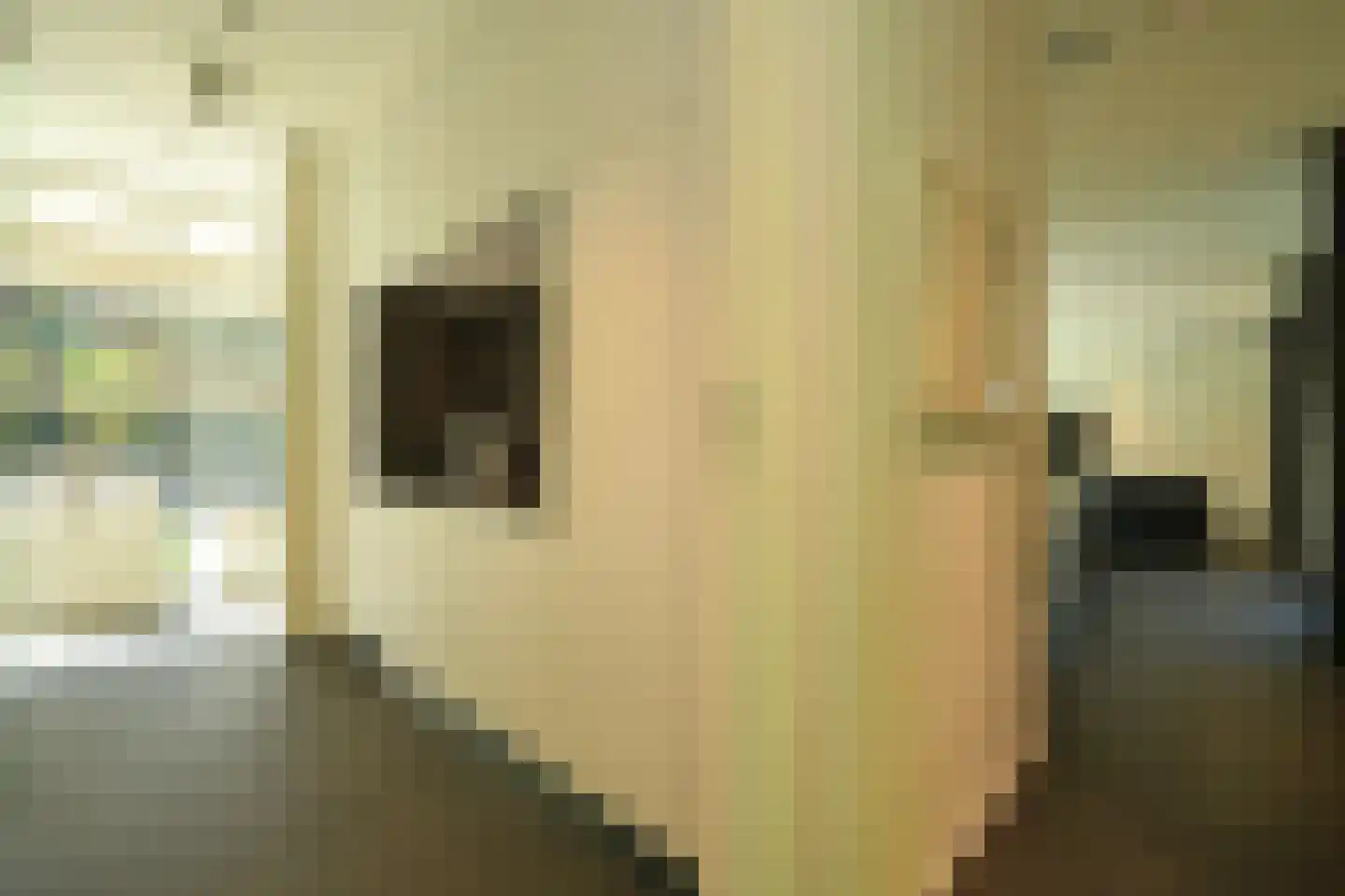 Konijnenlaan 22 Wassenaar thumbnail 9