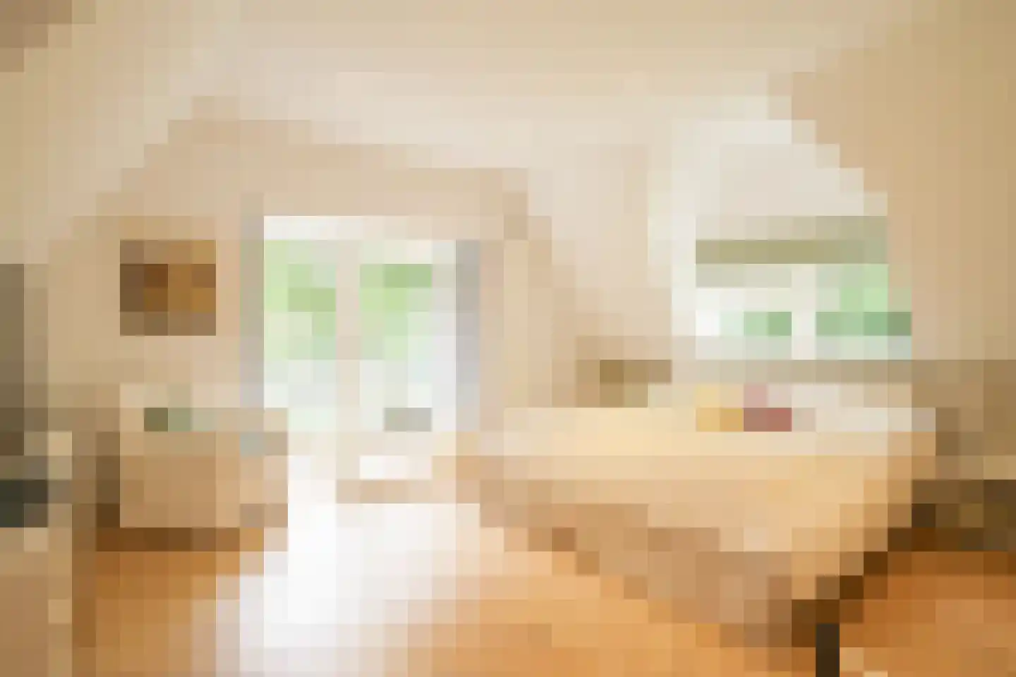 Konijnenlaan 24 Wassenaar thumbnail 23