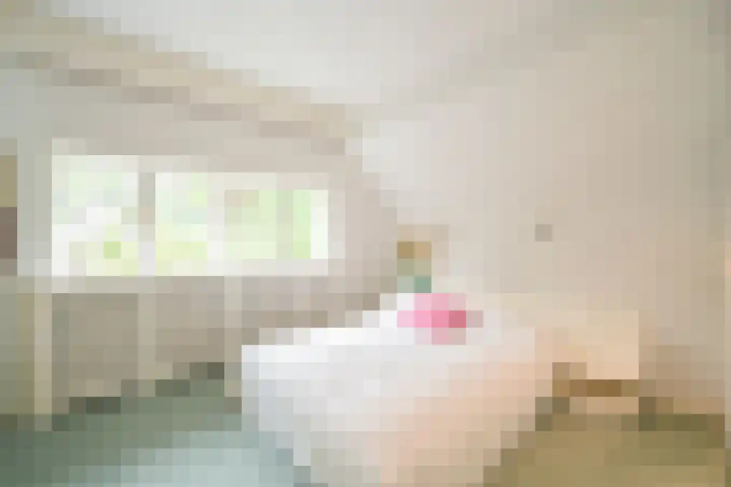 Konijnenlaan 24 Wassenaar thumbnail 33