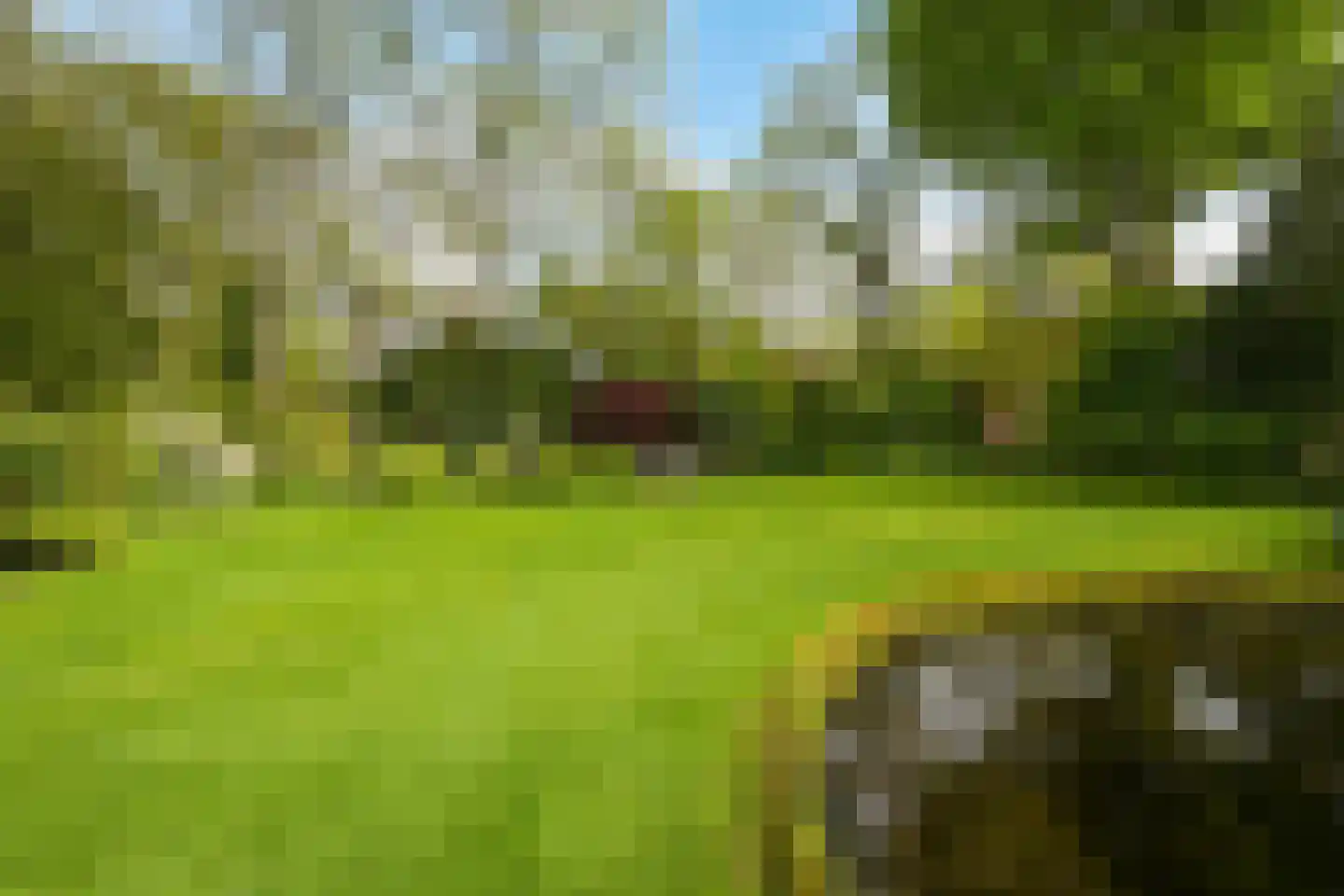Konijnenlaan 24 Wassenaar thumbnail 38