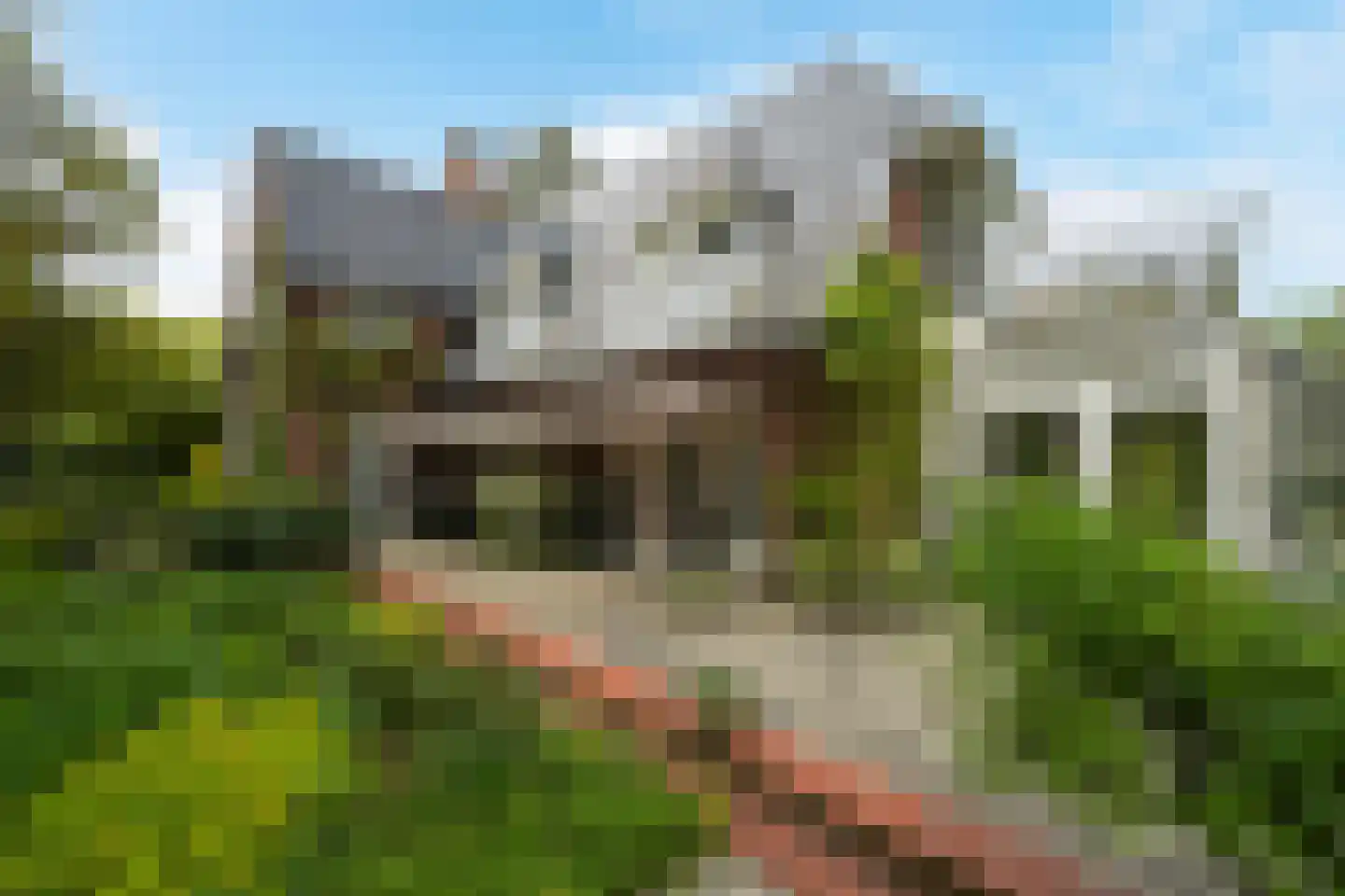 Konijnenlaan 24 Wassenaar thumbnail 40