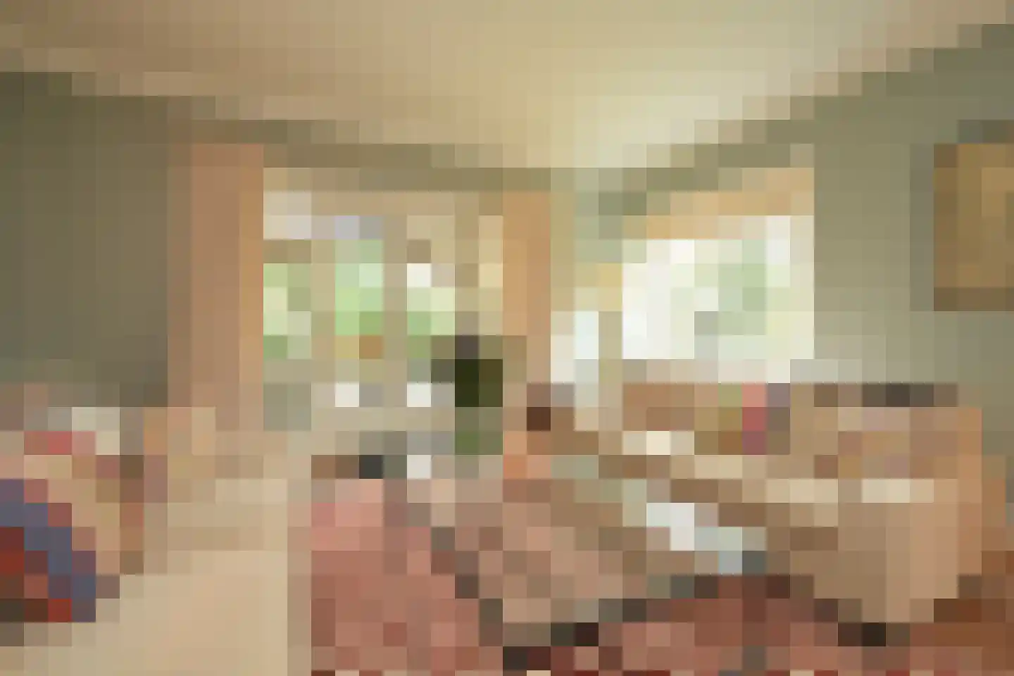 Konijnenlaan 27 Wassenaar thumbnail 11