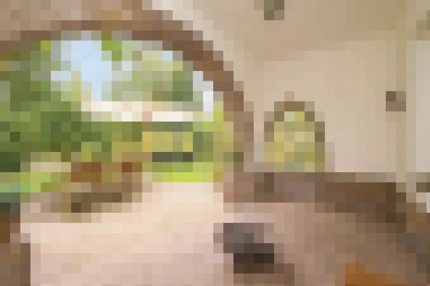 Konijnenlaan 27 Wassenaar thumbnail 12