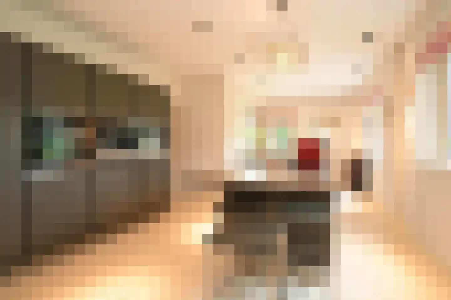 Konijnenlaan 27 Wassenaar thumbnail 14