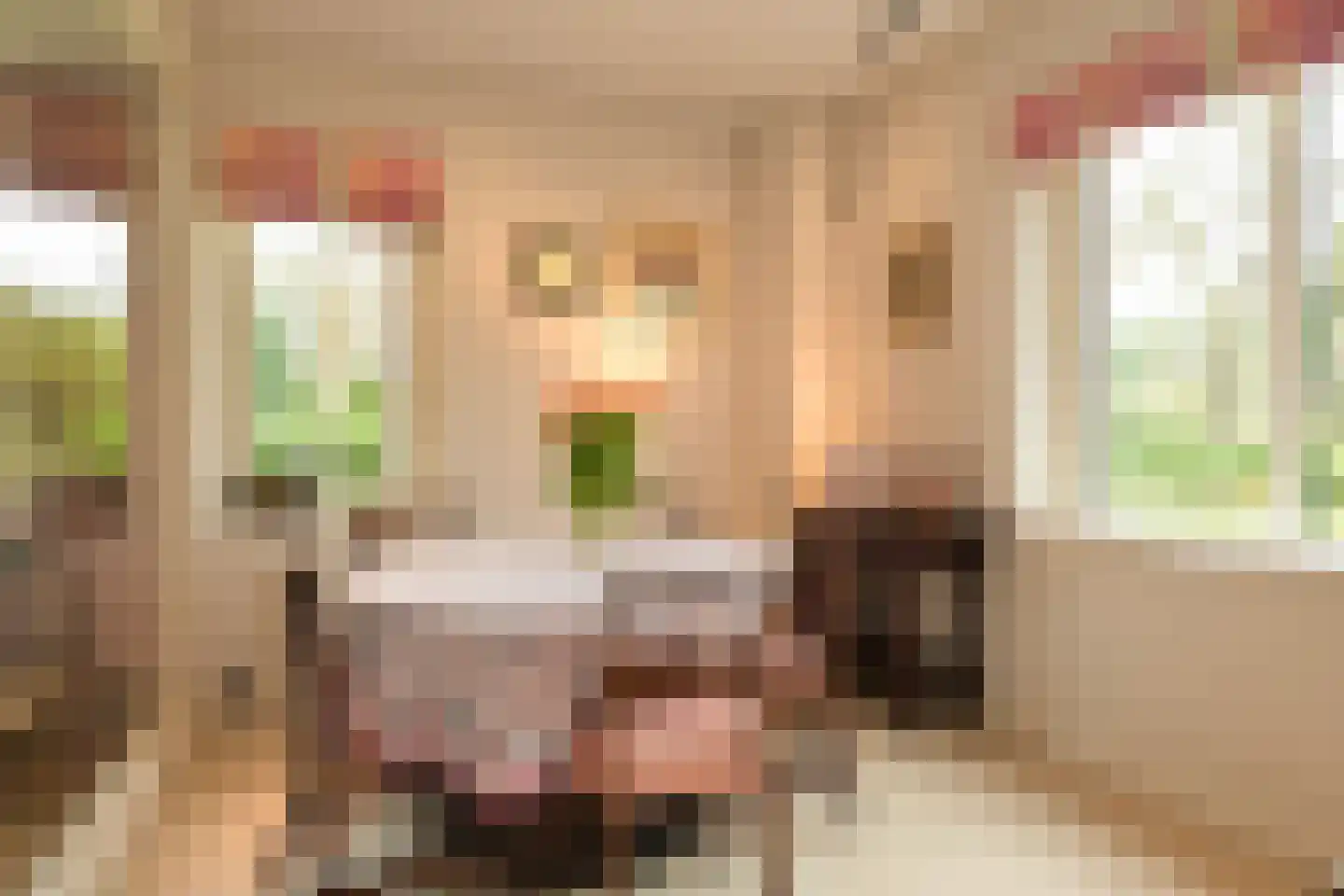 Konijnenlaan 27 Wassenaar thumbnail 15