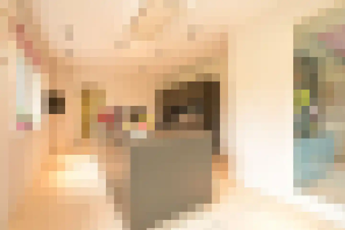 Konijnenlaan 27 Wassenaar thumbnail 16