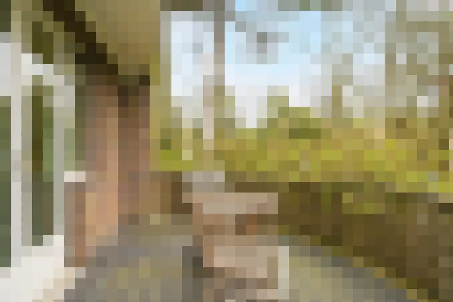 Konijnenlaan 27 Wassenaar thumbnail 20