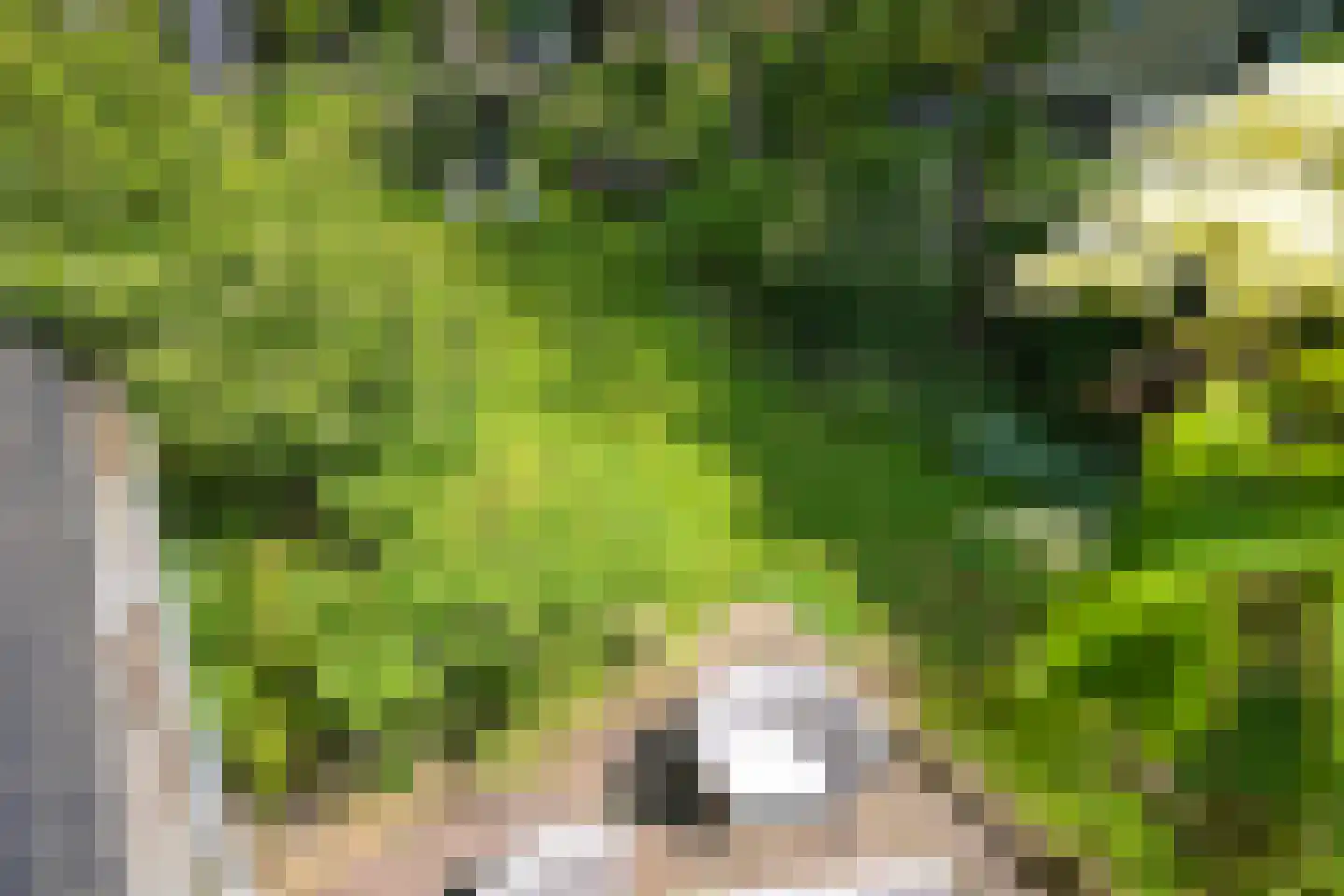 Konijnenlaan 27 Wassenaar thumbnail 27